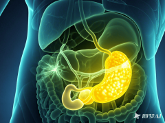 <b><b>第二类是脂饮食人群</b></b>